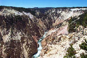 Canyon of Yellowstone